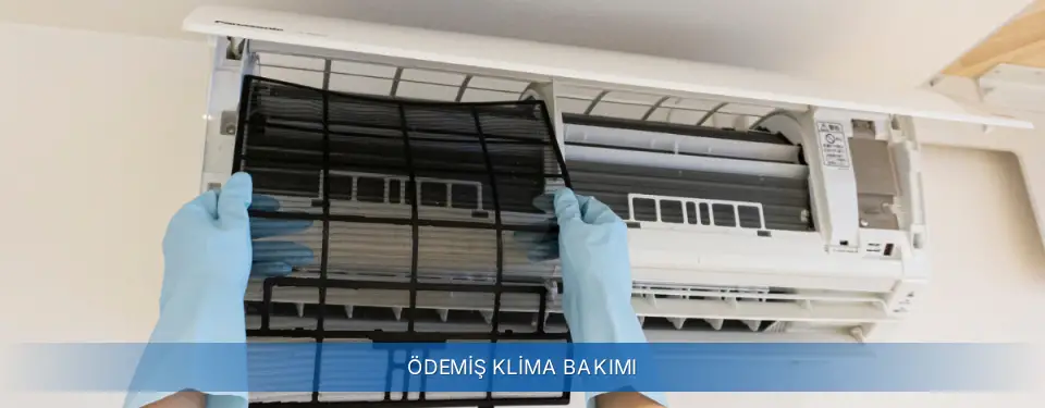 Ödemiş İlçemi General Electric Klima Bakımı