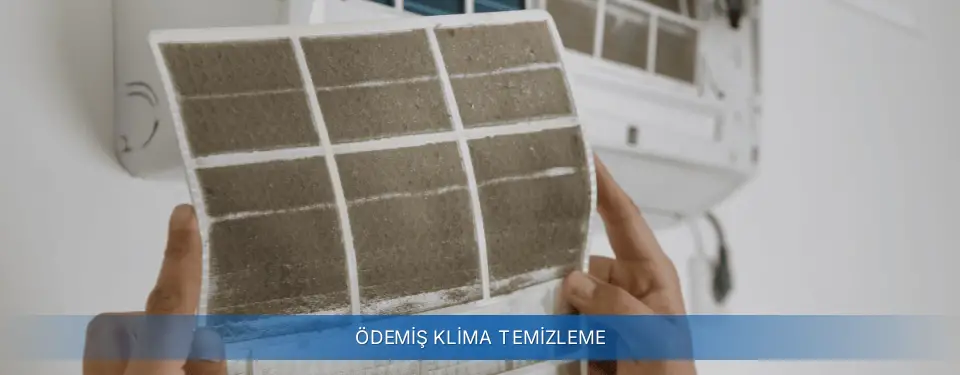 Ödemiş İlçemi General Electric Klima Temizleme